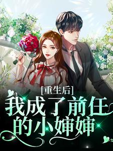 苏菀陆时晏