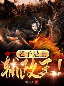 老子是王,辅政王!