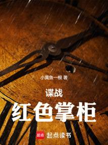 谍战:红色掌柜