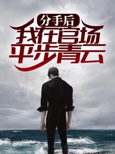 分手后,我在官场平步青云