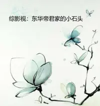 综影视：东华帝君家的小石头